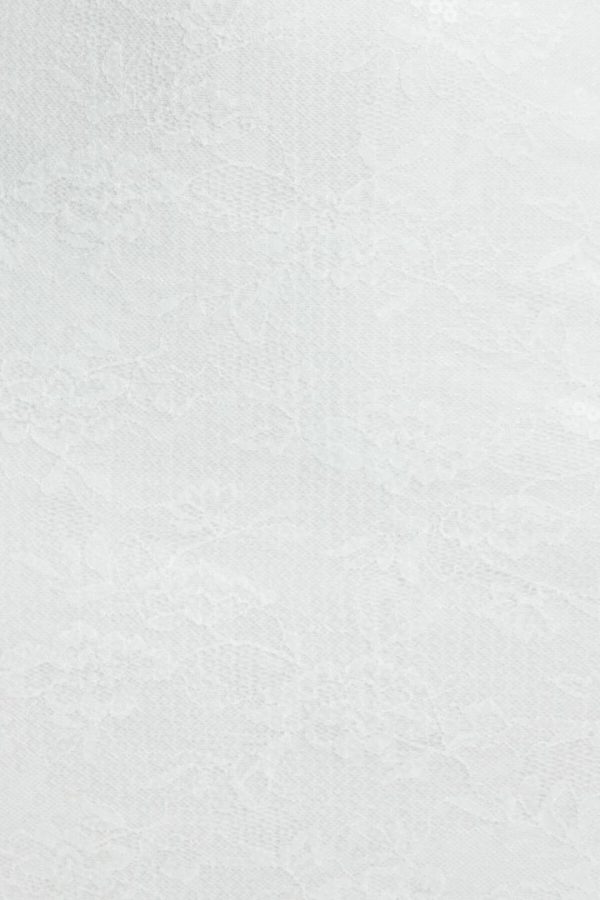 Phyllisrotwitt.shop1d17543990 4