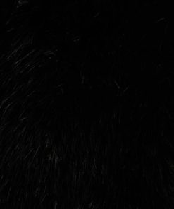 Phyllisrotwitt.shop4cd8f63d73 5