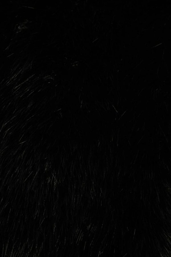 Phyllisrotwitt.shop4cd8f63d73 5