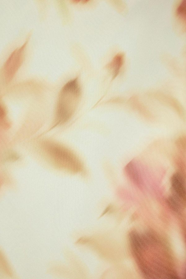 Phyllisrotwitt.shop8b41744ca8 4